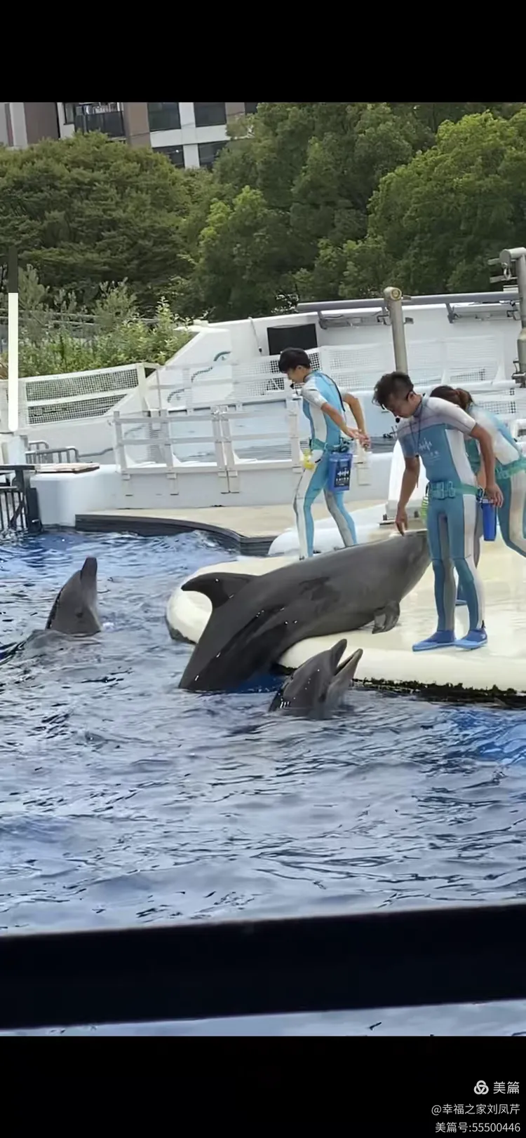 华体会直播-京都水族队力克对手，晋级下一轮比赛的简单介绍
